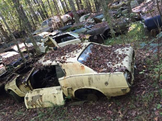 Old Car City - свалка классических автомобилей в США (14 фото)