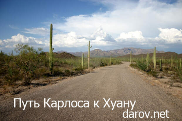 Дорога Карлоса в Сонору