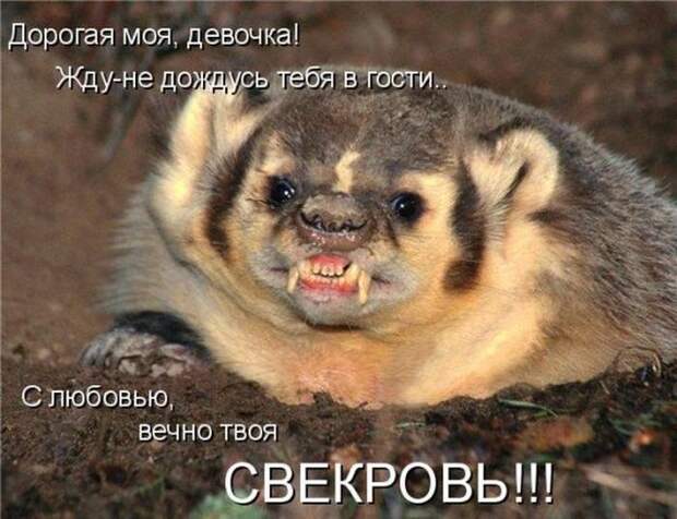Мысли вслух :)