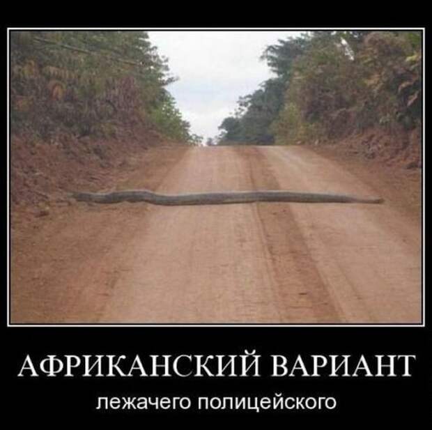 Демотиваторы и позитив