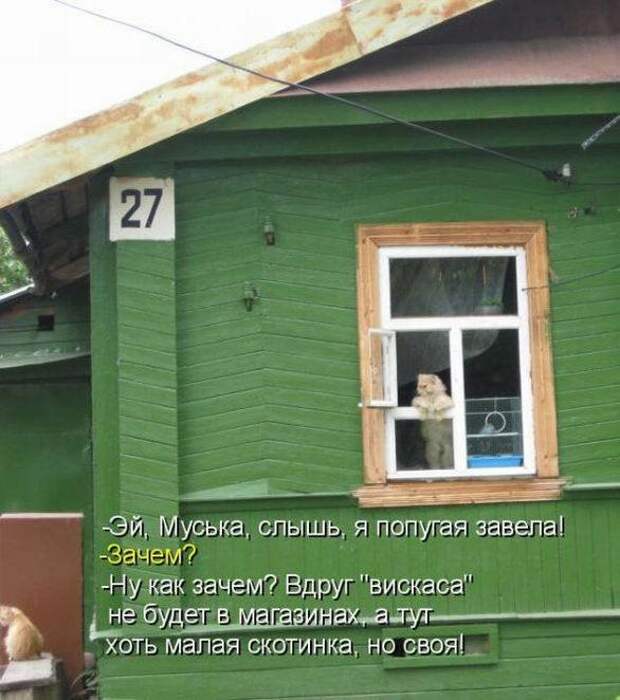 Продолжаем подготовку к Новому Году.