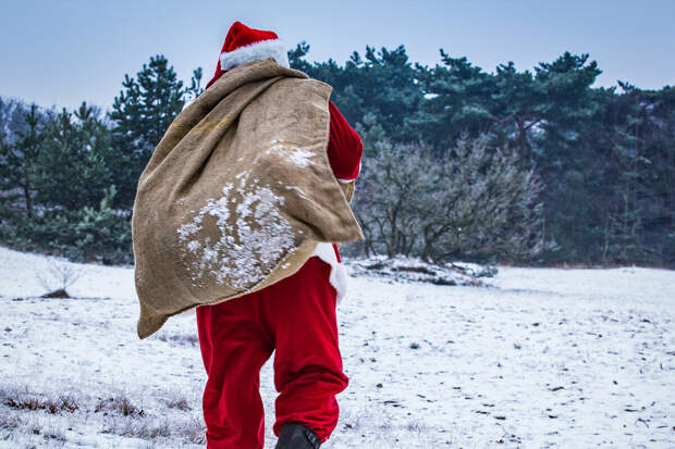 Юрист Печников: вернуть деньги, если Дед Мороз пришел пьяным, можно через суд