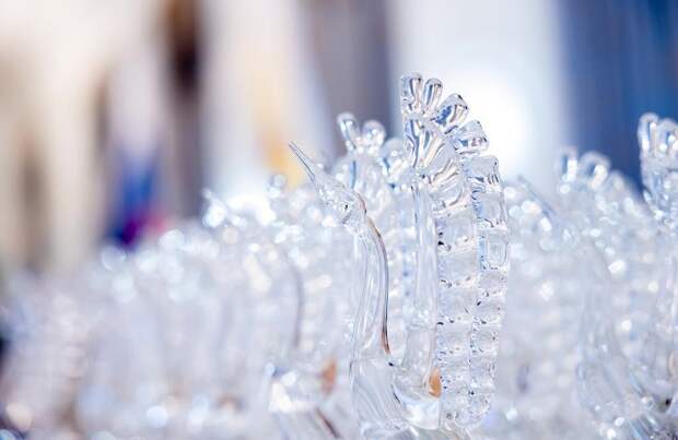 Сетевое издание 7info.ru одержало победу в двух номинациях конкурса «Хрустальный журавль – 2025»