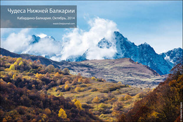 Дикий Кавказ