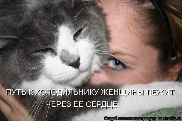 Новогодняя минутка юмора Новогодняя минутка юмора