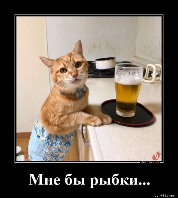 Свежий сборник демотиваторов (17 фото)
