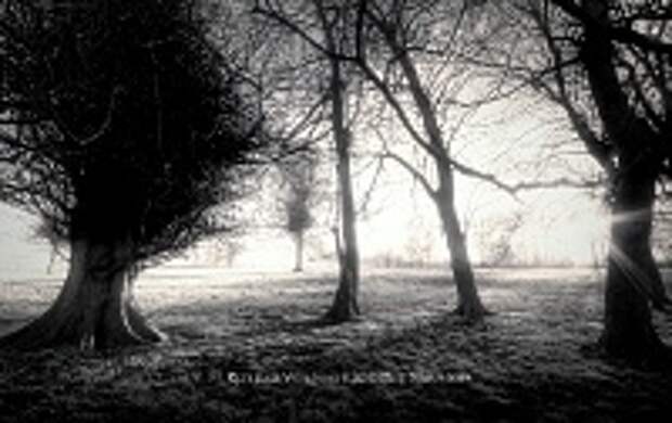 ФОТОГРАФ MIKE SHAW 24