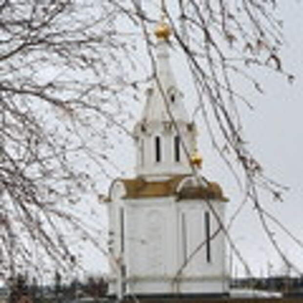 Thumb_crop_vesna