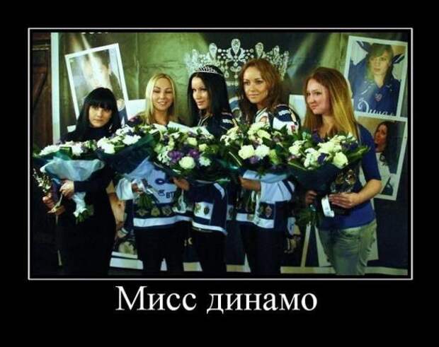 Новые демотиваторы. Очень прикольная подборка.