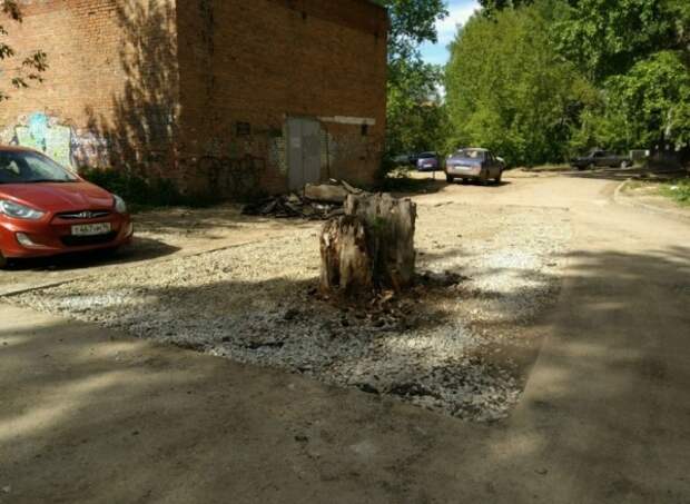 "Онижедети" русского майдана