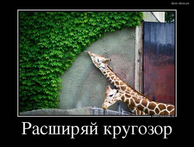 30 демотиваторов дня от 11-02-2014