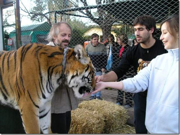 extreme-zoo_6_(funnypagenet.com)