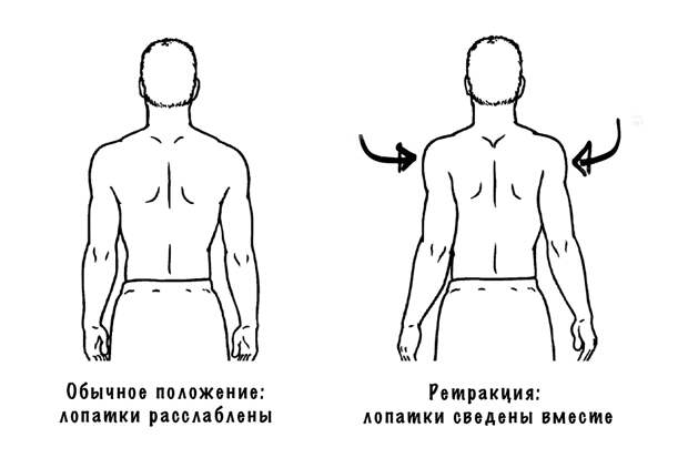 Ретракция лопаток — что это?