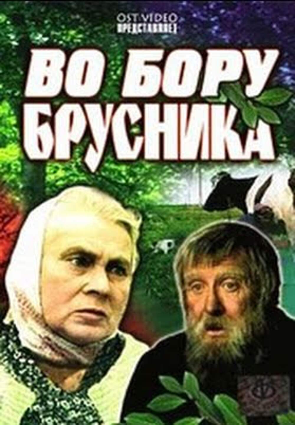 Во бору брусника дзен осколки души 56