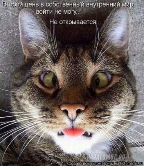 1359321730_96696277_large_98 (496x570, 90Kb)