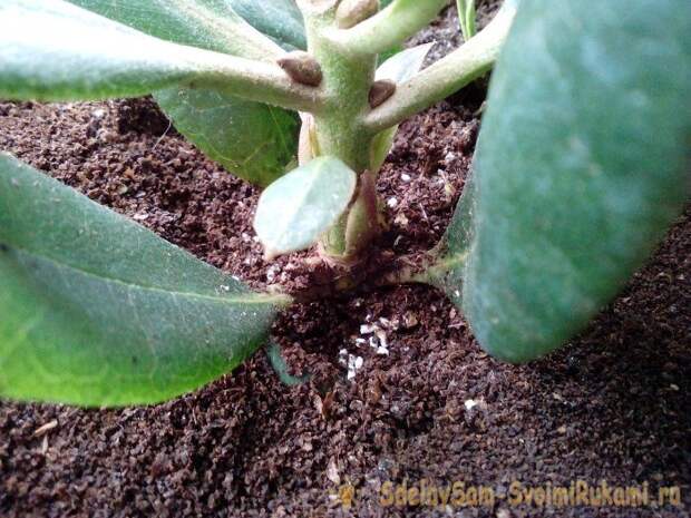 10 способов полезного применения