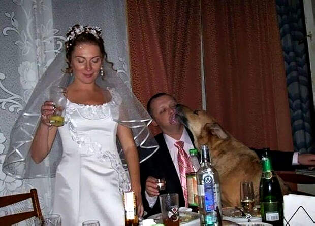 Измена на свадьбе. Измена на свадьбе.