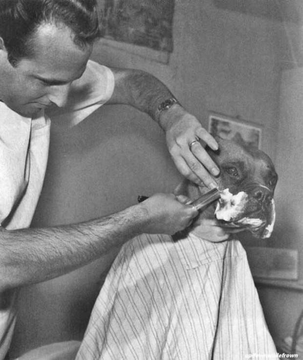 Исторические фотографии,которых вы не увидите в учебниках истории  учебник, история, фото