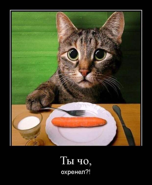 Pro100 Dемотиваторы
