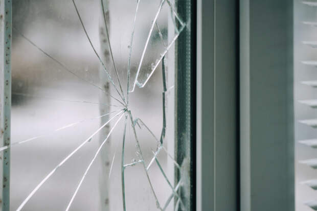 Доцент Золотарева: конденсат на окнах создает условия для развития микробиоты