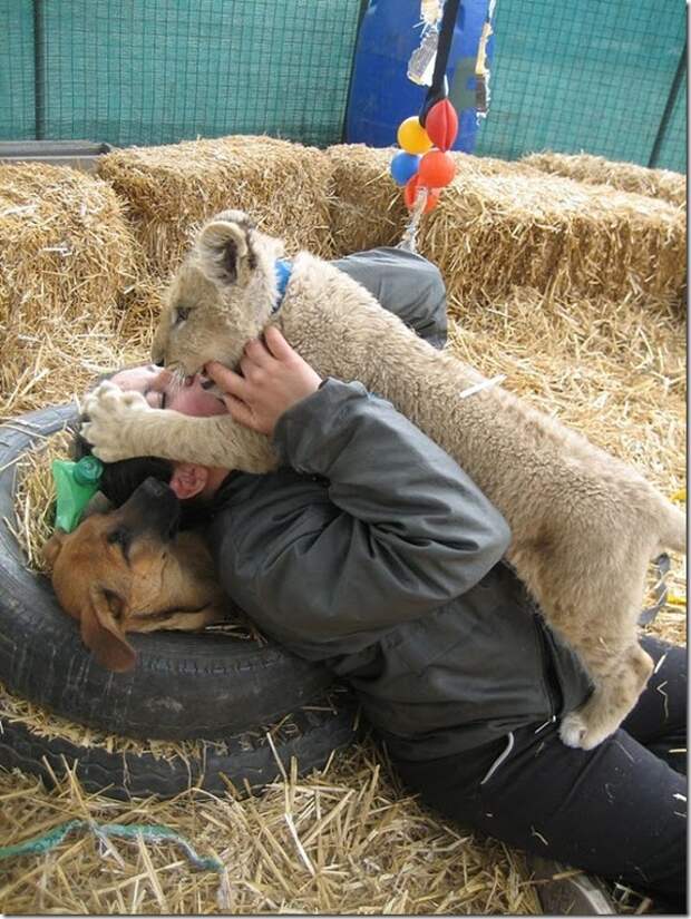 extreme-zoo_4_(funnypagenet.com)