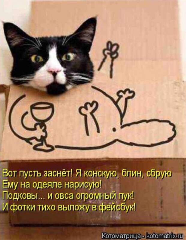 Котоматрицы (картинки с надписями)