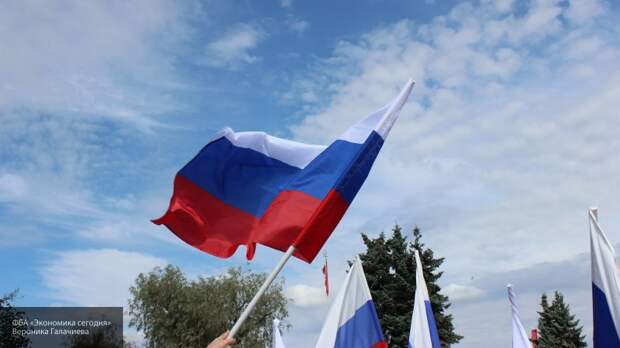 Олимпиада и ЧМ воспитывают в гражданах России гордость к флагу, считают в "Опоре России"