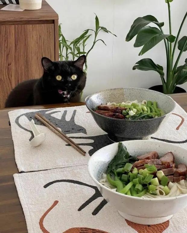 Позитив и юмор в смешных фотографиях