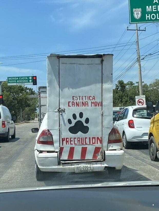 Автовсячина