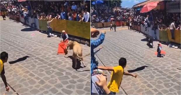 В Мексике тореадора сбил второй бык во время представления