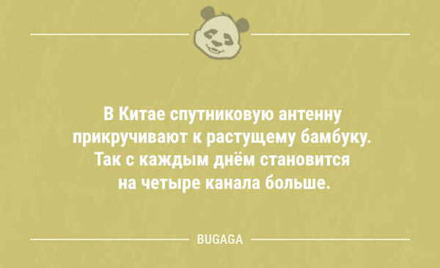 Анекдоты дня (11 шт)