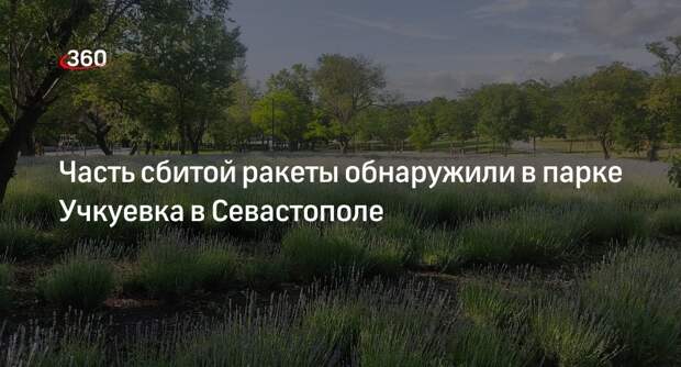 Развожаев: часть сбитой ракеты обнаружили в парке Учкуевка в Севастополе