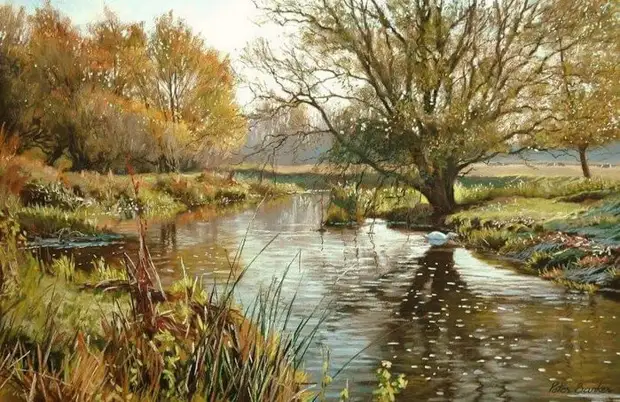  Peter Barker ( )