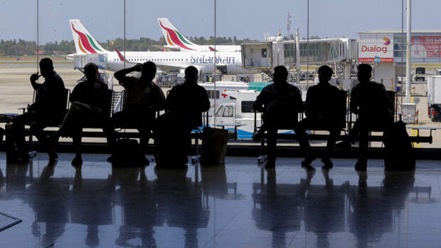 Посольства в Шри-Ланке и на Мальдивах изучают опцию вывозных рейсов для россиян