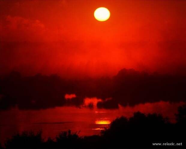 Andris_Eglitis_010 Andris_Eglitis_010