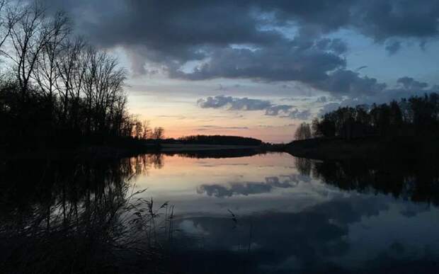 МЧС: в Рязанской области 5 апреля ждут ветер в 17 м/с