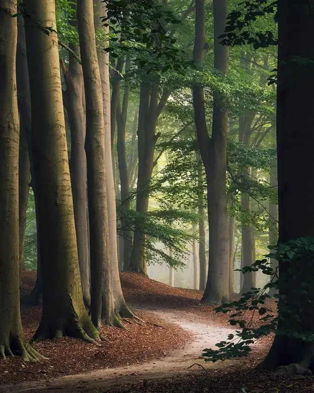 ��������� ����