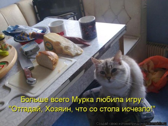 1359322250_1359093524_kotomaun (570x427, 63Kb)