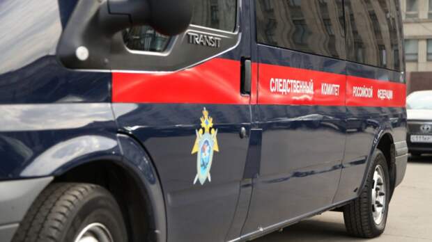 Малолетняя фанатка аниме покончила с собой в Петербурге