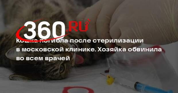 Москвичка обвинила ветклинику в гибели кошки после стерилизации