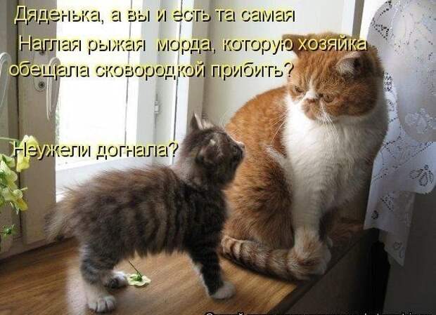 3180456_x_28b2c7a4 (604x438, 63Kb)