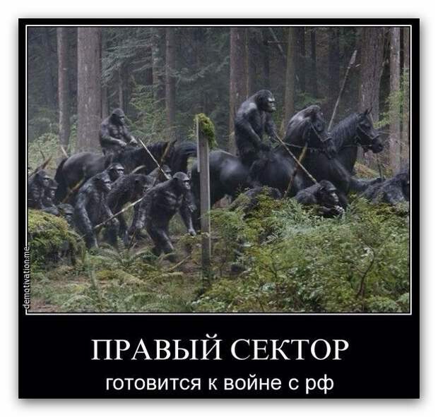 Картинки про Украину 8