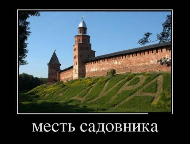 Новые прикольные демотиваторы июня