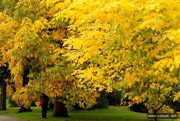 october_014 october_014