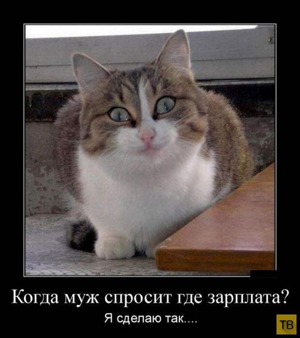 Подборка демотиваторов 12. 09. 2014 (33 фото)