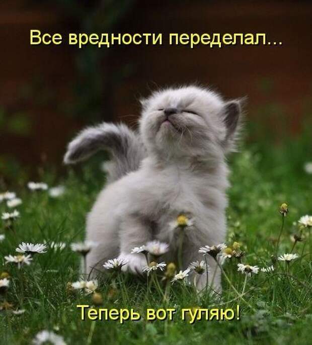 18 убойных приколов для хорошего настроения