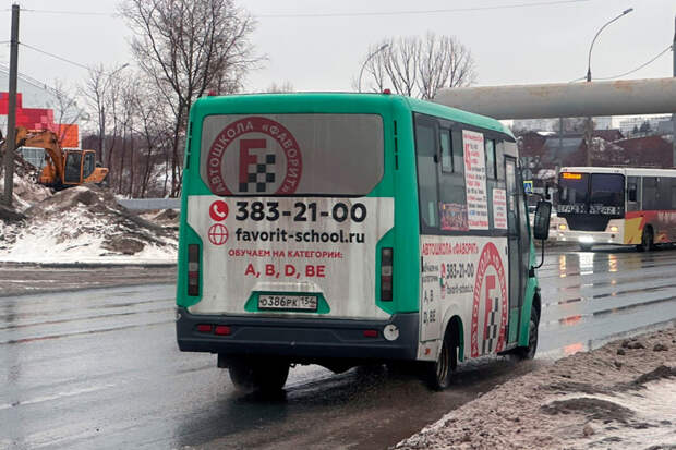 Останина взяла под контроль избиение ребенка в маршрутке Новосибирска