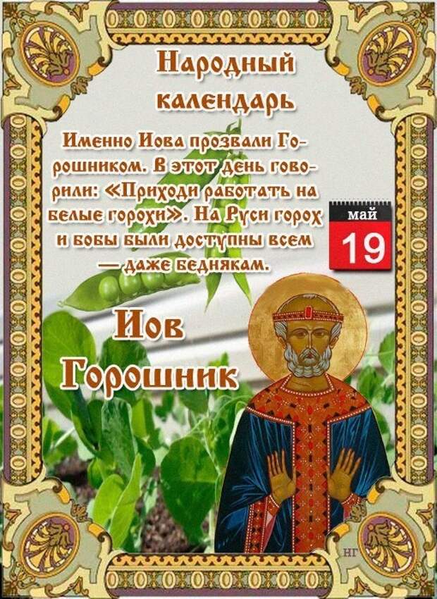 19 мая - Народно-христианский праздник Иов Горошник.