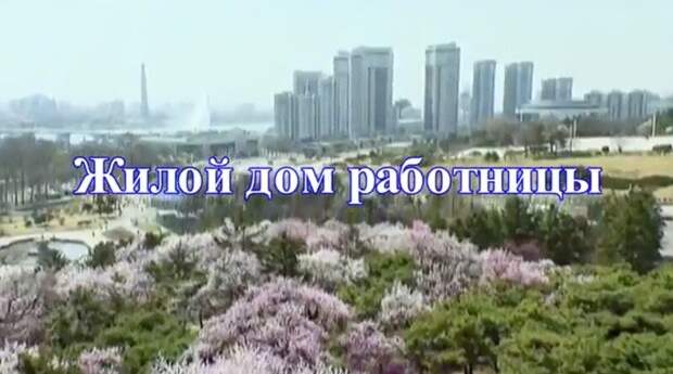 Иностранцы, посетившие одну квартиру на улице Чханчжон в центре Пхеньяна, спросили хозяина: – Сколько стоит эта квартира? – Не знаю. – Так как же вы живете в этой квартире? – Ее мне выдало государство.-26