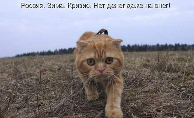 Мысли вслух :)